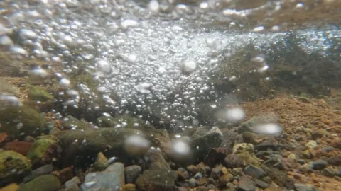 Slow motion water bubbles in a clear river Stock Footage 306760095