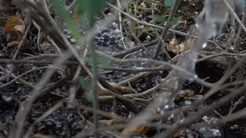 Slow Motion Of Water With Bubbles On Soil On Hot Summer Day Video stock 246635021