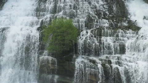 Slow Motion of Water Cascading around a Green Bush, 4K Stock Footage 189502974
