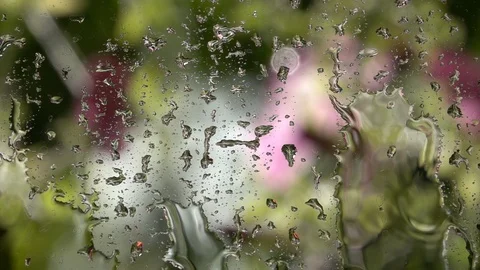 Slow motion of water dripping on window glass with colorful defocused view Stock Footage 99145269