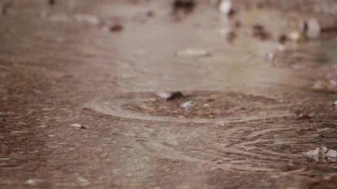 Slow motion of water drop on brown ground Video stock 238641098