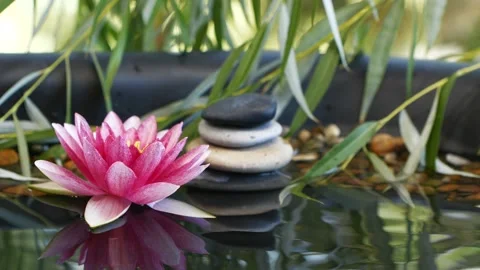 Slow motion of water drop falling near balanced stones and pink lotus flower Stock Footage 137837980