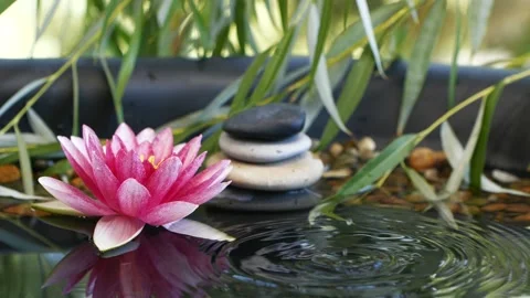 Slow motion of water drop falling near balanced stones and pink lotus flower Stock Footage 137837987