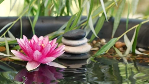 Slow motion of water drop falling near balanced stones and pink lotus flower Stock Footage 137838020