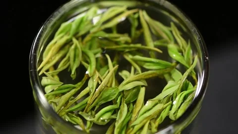 Slow Motion Water Droplet Falling into Green Tea Leaves in Glass Close Up Stock Footage 340302979