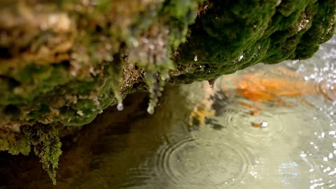Slow Motion Water Droplets drop on the rock Video stock 87769120
