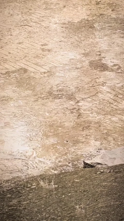 Slow motion water dropping rain with vintage editorial Stock Footage 307368088