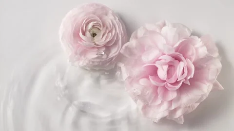 Slow motion water drops falling over ranunculus flowers creating spa beauty Stock Footage 335806488