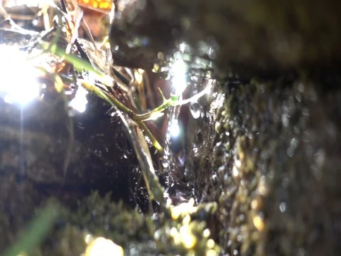 Slow Motion Water Drops Video stock 73047088