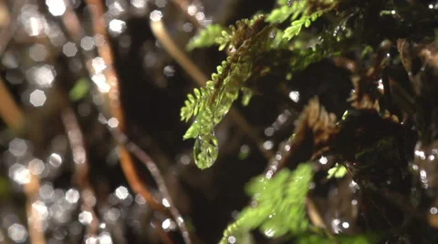 Slow Motion Water Drops, Macro High Speed Camera Vidéo 45993529