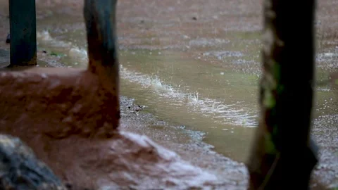 Slow motion Water drops in The rain Stock Footage 155367898
