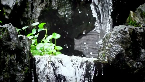 Slow Motion, water falling in a mini waterfall, plants and stones around Stock Footage 309226996