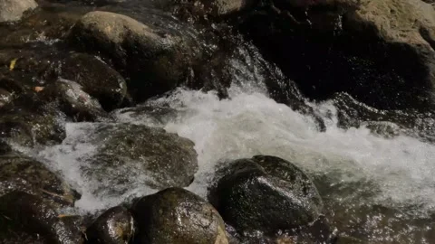 Slow motion water flow past rocks in creek Stock Footage 307431582