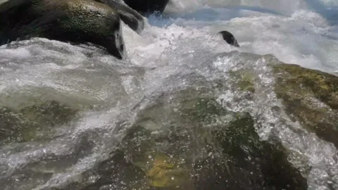 Slow motion water flow past rocks in creek Stock-Footage 307431591