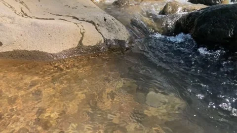 Slow motion water flow past rocks in creek Stock Footage 307431640