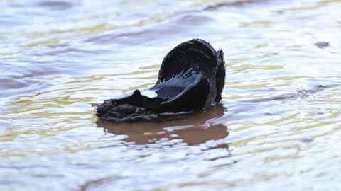 Slow Motion of Water Flowing Stock Footage 247929723