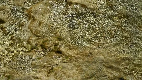 Slow motion: water flowing over rocks in a mountain riverbed in summer sunlight. Video stock 211744446
