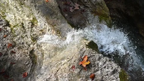 Slow motion of water flowing over rocks in autumn Video stock 260863776