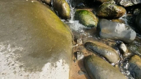 Slow motion of water flowing from a spring in the rocky mountains Stock Footage 320977205
