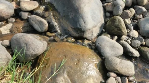 Slow motion of water flowing from a spring in the rocky mountains Stock Footage 320977220
