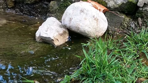 Slow motion water flowing from stream Video stock 182402153