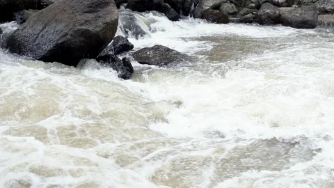 Slow motion of water flowing through a small river in tropical forest. Stock Footage 85772561