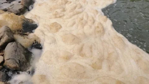 Slow motion water foam on the river bank Stock Footage 306756135