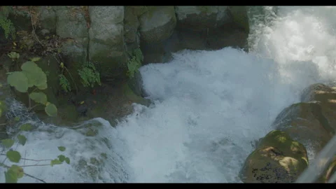 Slow Motion of Water at Hermon Stream Nature Reserve Stock Footage 270175009