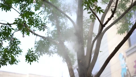 Slow motion Water Mist Machine street tree A Stock Footage 151154000