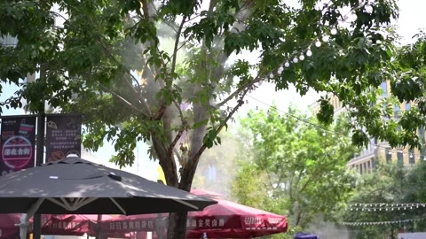 Slow motion Water Mist Machine street tree D Stock Footage 151154041