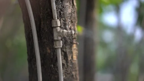 Slow motion Water Mist Machine street tree close F Stock Footage 151154714