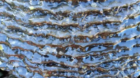 Slow Motion of Water Moving of an Old Pond Decoration Stock Footage