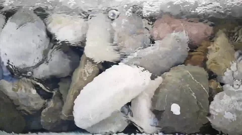 Slow Motion Water Over River Stones Stock Footage 99569036