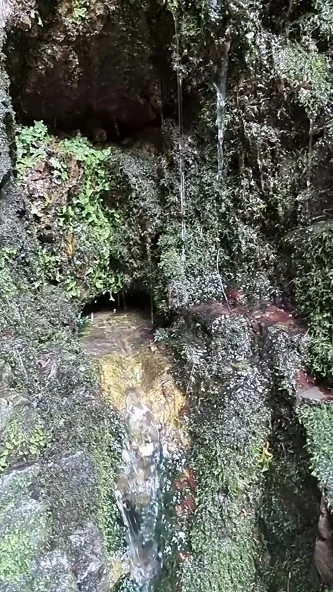Slow Motion Water Pooling on a Mossy Wall Stock Footage 328297917