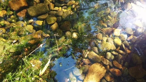 Slow motion of water Ripling over pond rocks and reflection of the sky Video stock 109020282