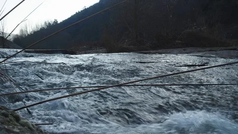 Slow motion of the water of a river in the middle of the vegetation Stock Footage 124524438