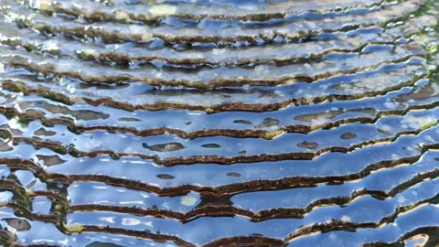 Slow Motion of Water Rolling of an Old Pond Decoration Stock Footage 134889980