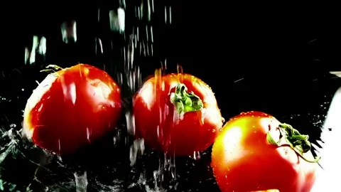 Slow motion of water splash on red tomato on black background Stock Footage 76915194