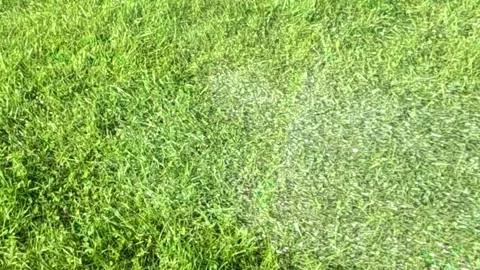 Slow motion water splashes in sunlight Stockbeeldmateriaal 316229059