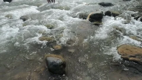 Slow motion of water splashing from a stone thrown into the river Stock Footage 320984894