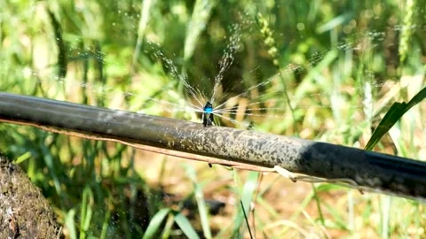 Slow motion water spraying Stock Footage 288218399