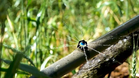 Slow motion water spraying Stock Footage 288218406