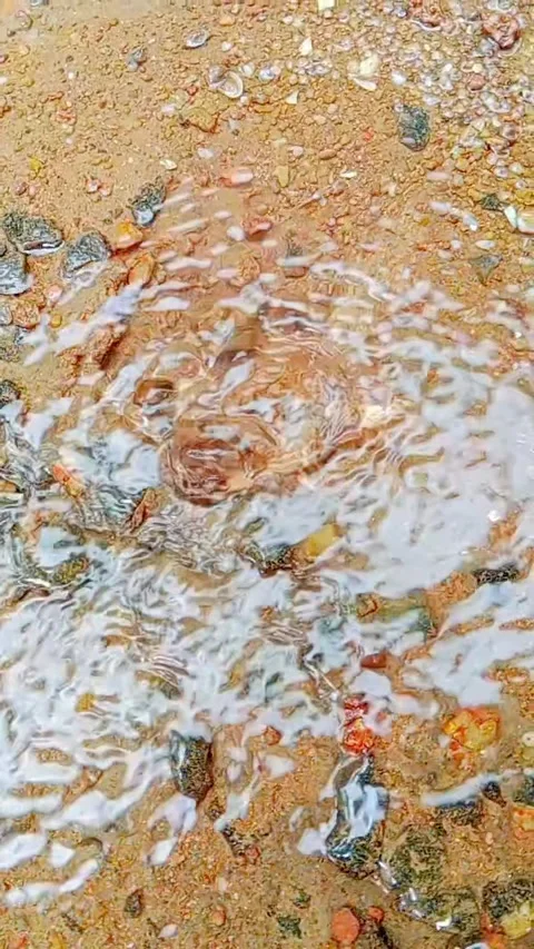 Slow motion water spring bubbling up after rain Stock Footage 346745915