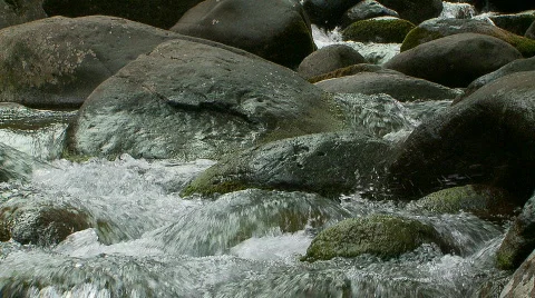 Slow Motion Water, Stream, Brook - Clip 3 Stock Footage 711652