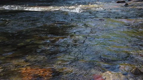 Slow motion water stream flowing in river. Video stock 136875818