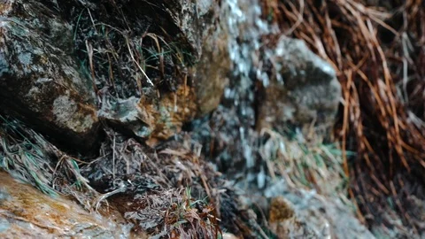 Slow motion water stream Stock Footage 106018336