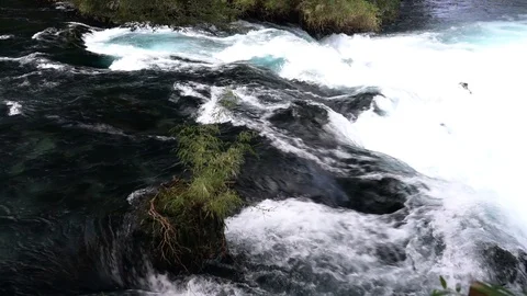 Slow motion water stream movement at Patagonia river inside rainforest Video stock 117223550
