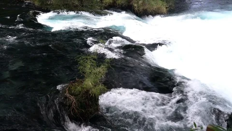 Slow motion water stream movement at Patagonia river inside rainforest Stock-Footage 117224618
