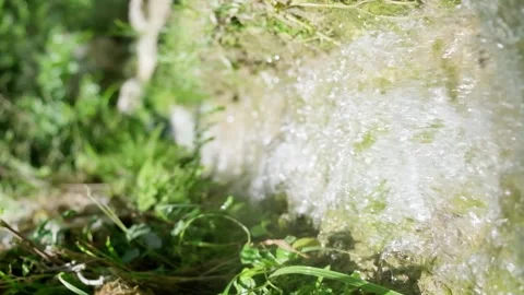 Slow motion water stream from natural spring Stock Footage 158323503