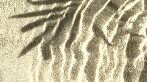 Slow motion water surface ripples and splash with palm tree leaf shadow on sand Video stock 166986085